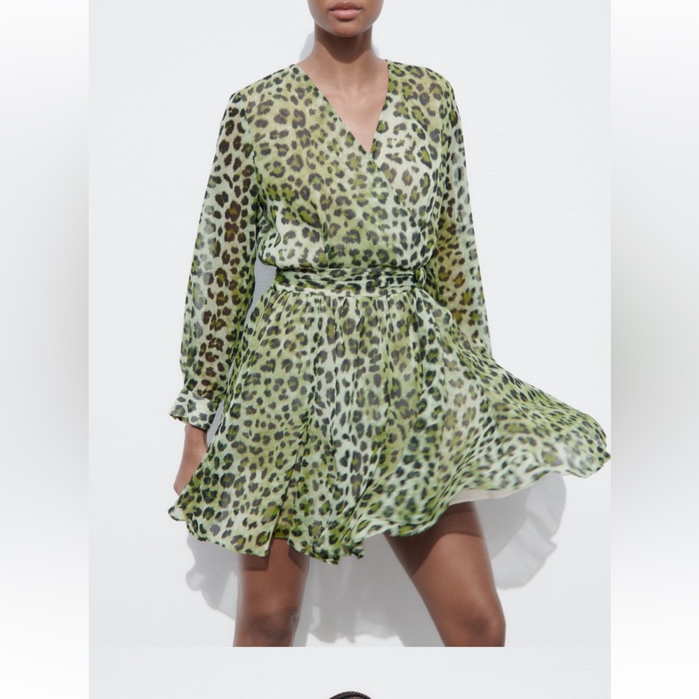 Zara animal print chiffon dress